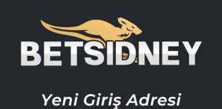 Betsidney130 Casino Giriş - Betsidney 130 Yeni Giriş Adresi