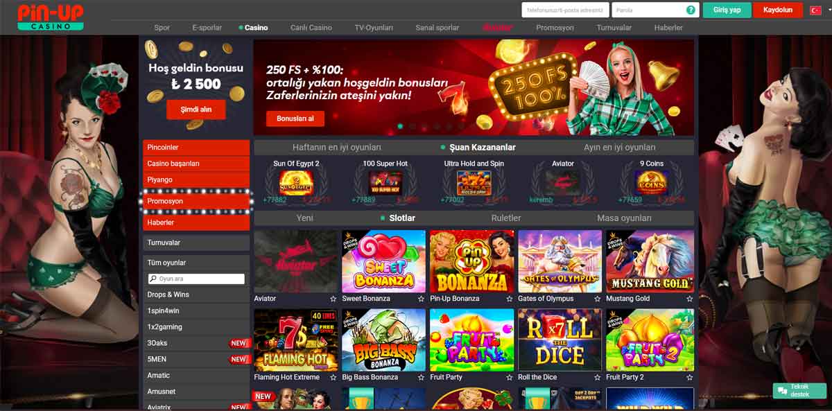 Pin Up Hakkında Genel Bilgiler